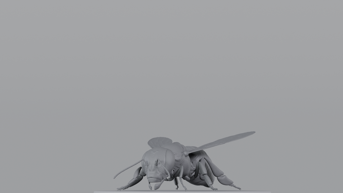 Bee