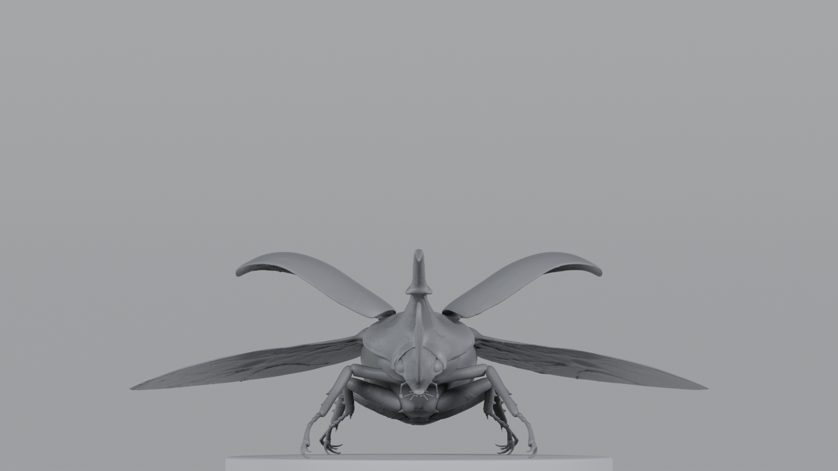 Beetle