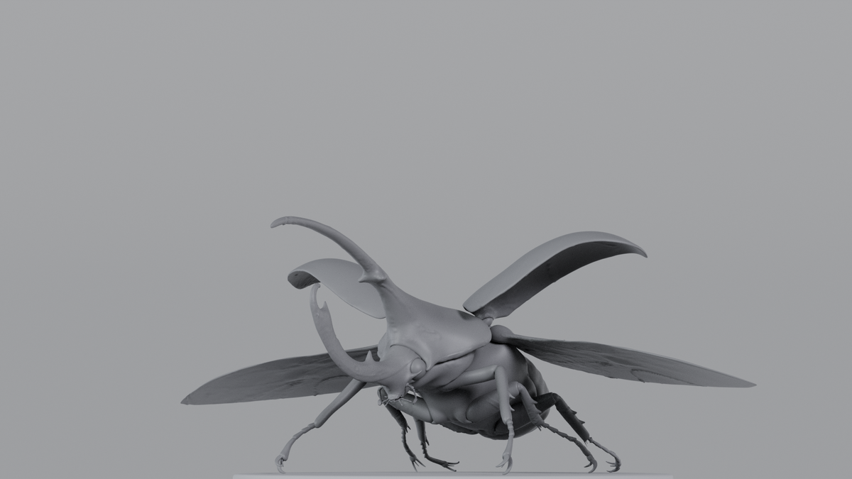 Beetle