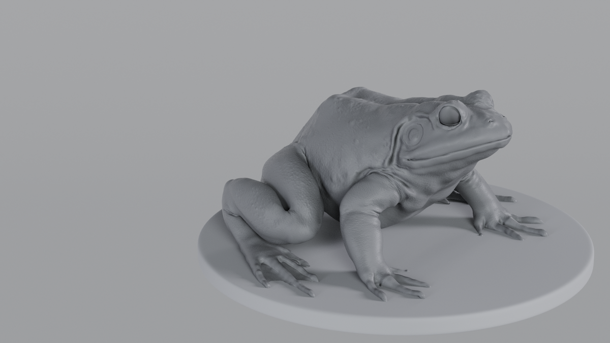 Bullfrog