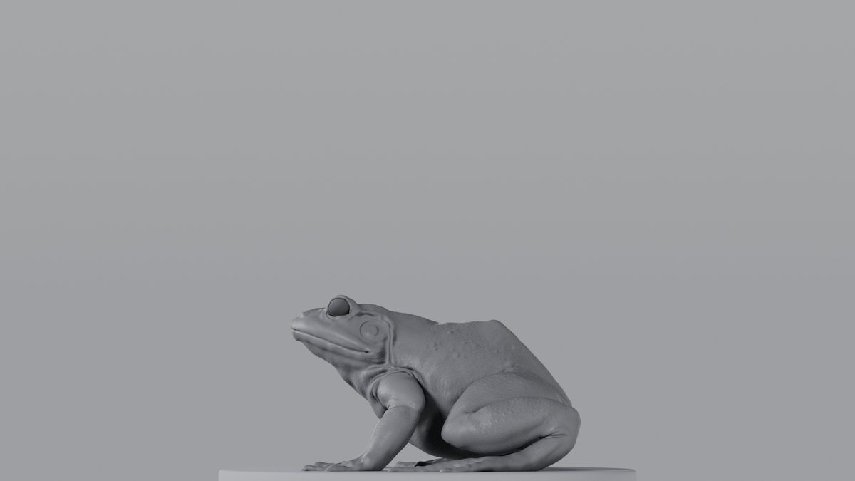 Bullfrog
