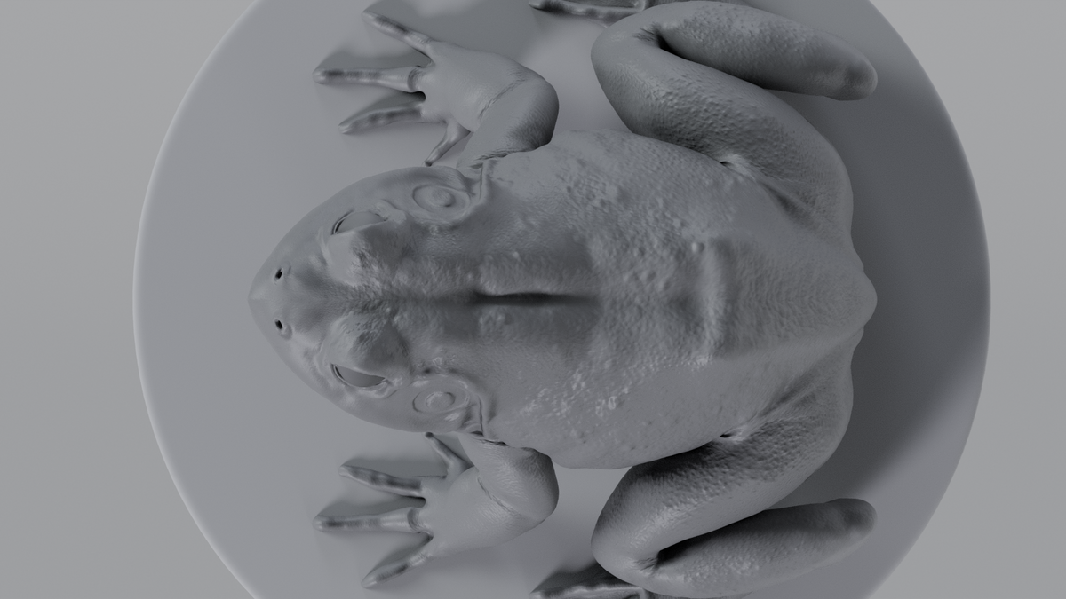 Bullfrog