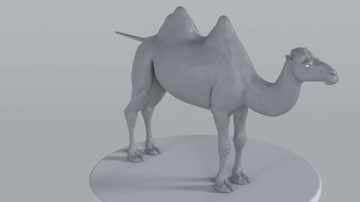 Camel