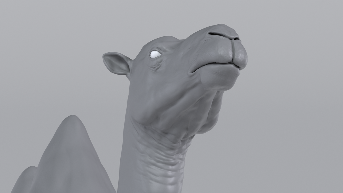 Camel