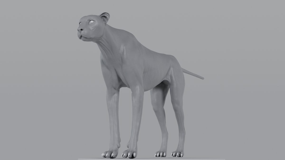 Cheetah