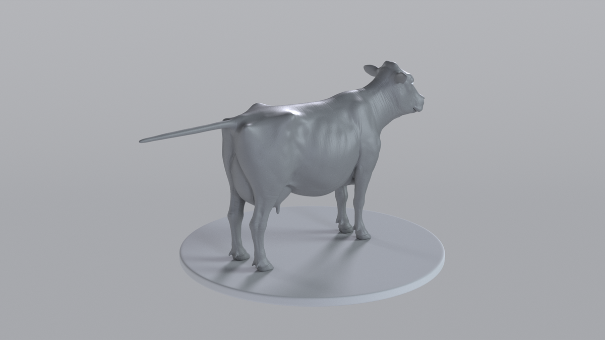 Cow
