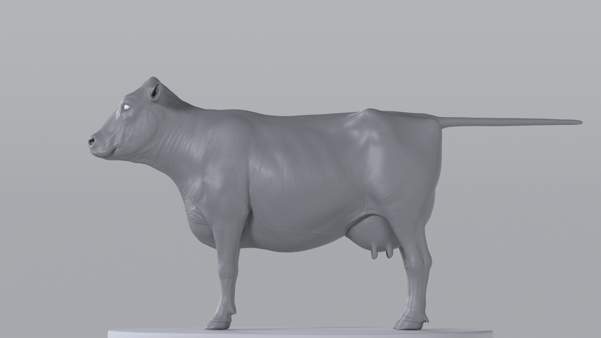 Cow