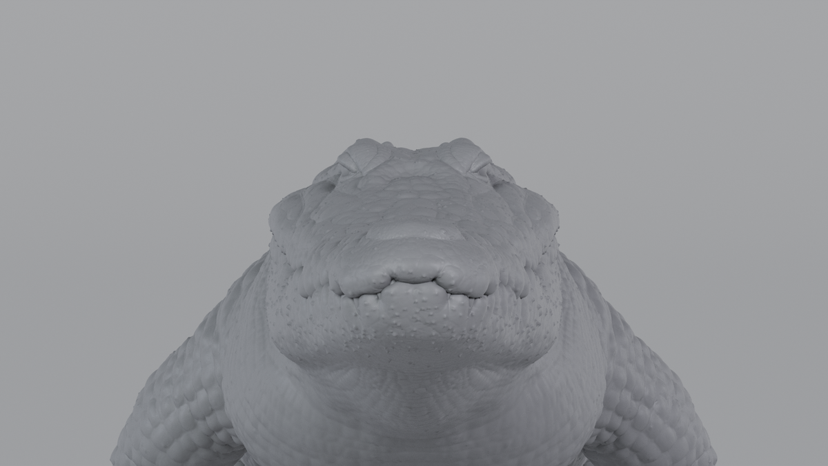 Crocodile