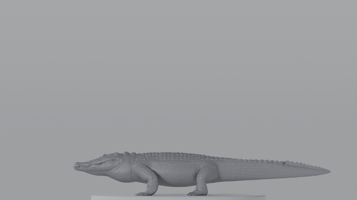 Crocodile