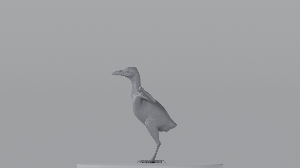 Crow