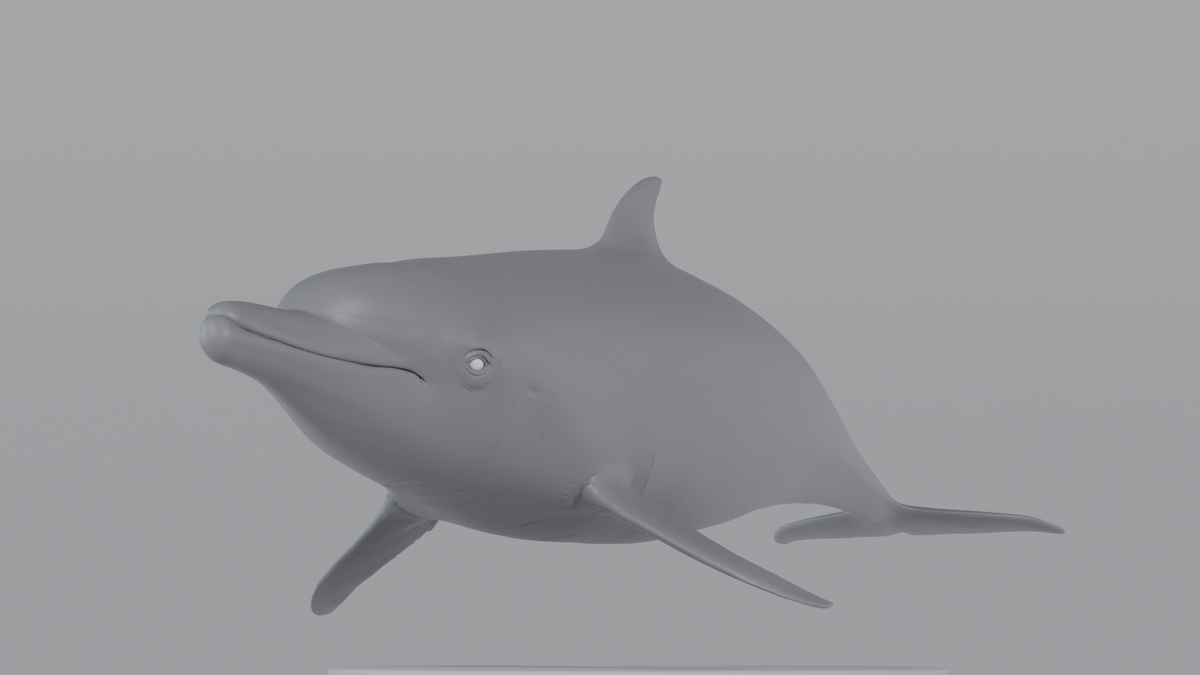 Dolphin