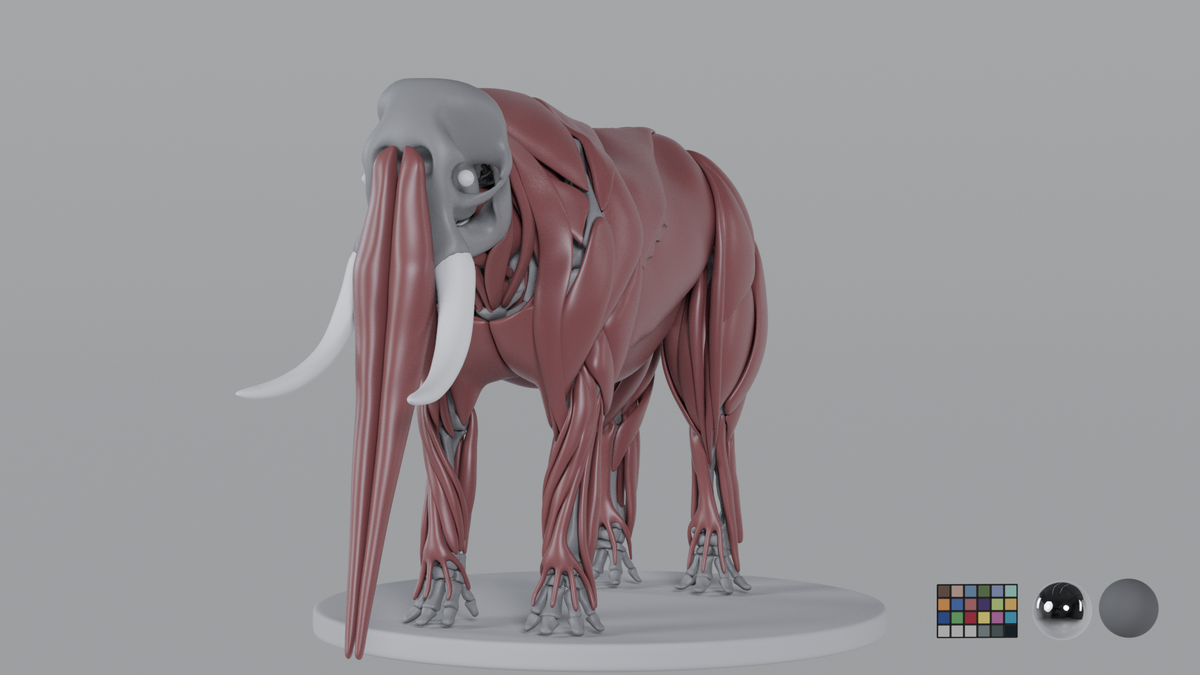 Elephant