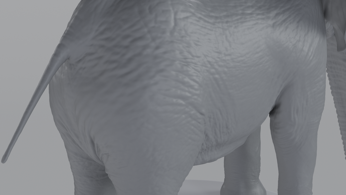 Elephant