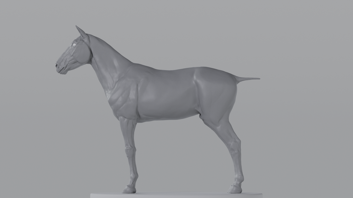 Horse