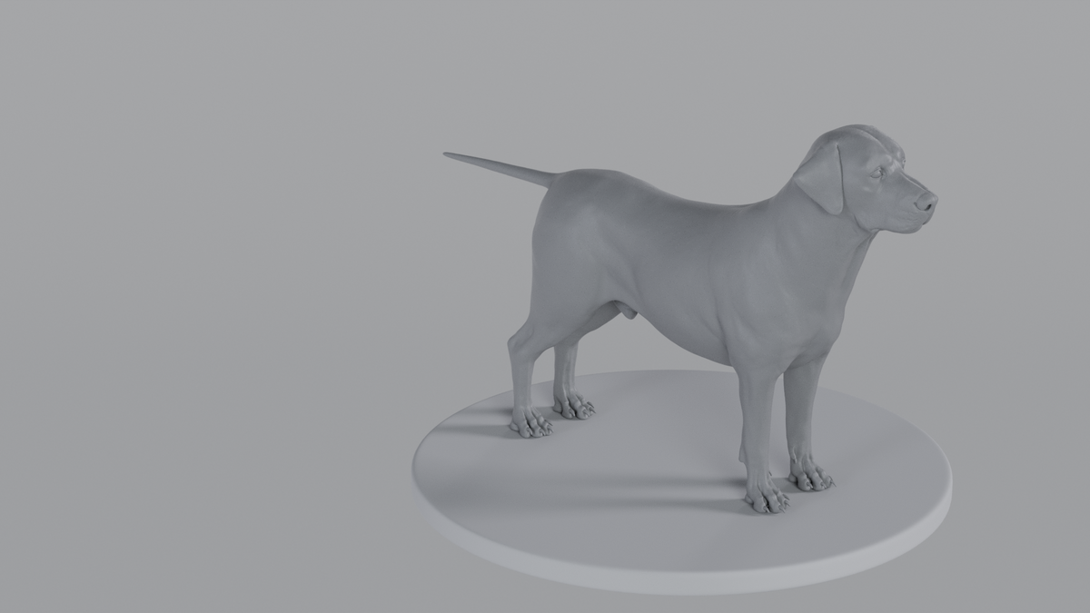 Labrador