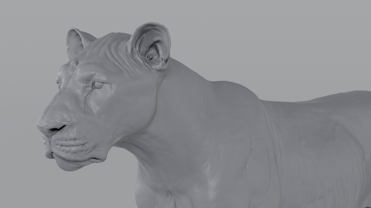Lioness