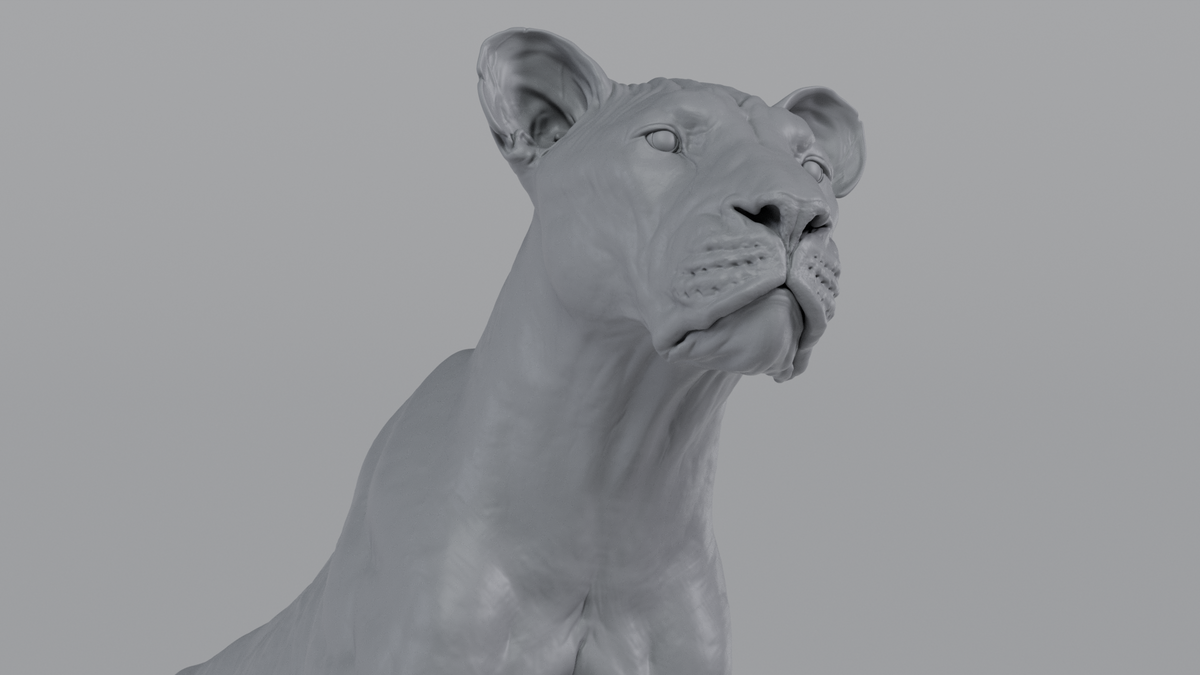 Lioness