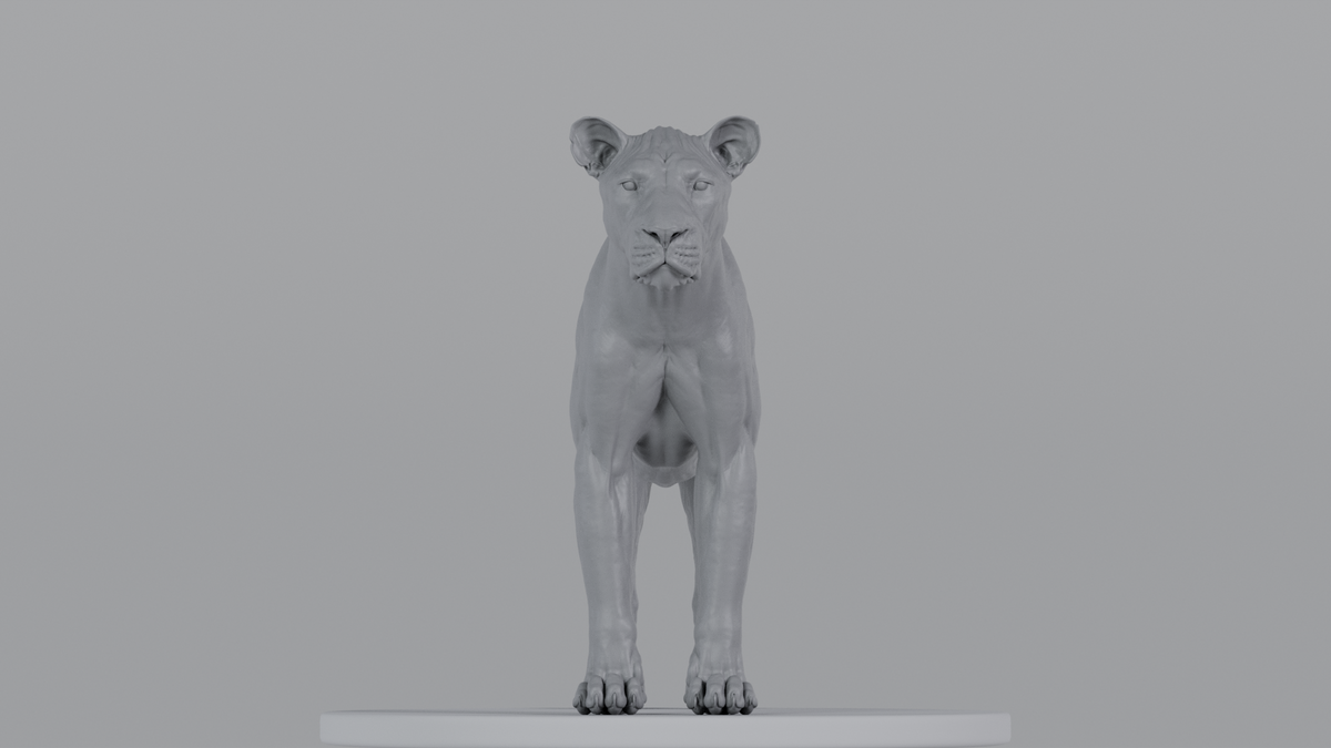 Lioness