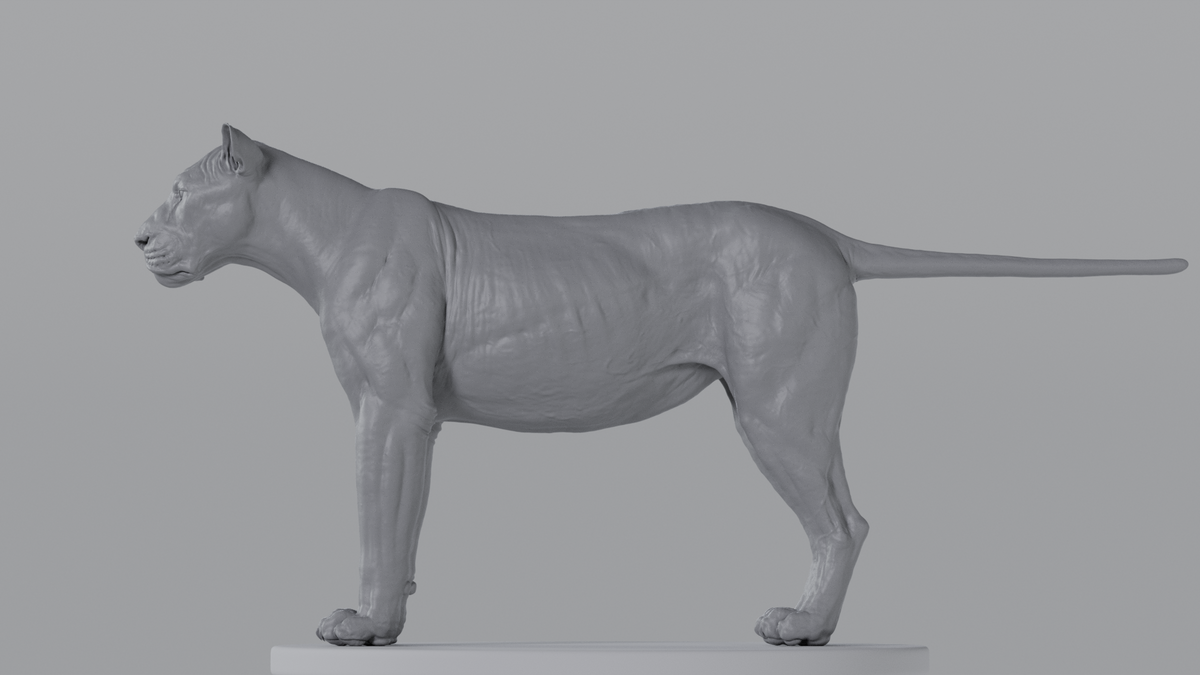 Lioness