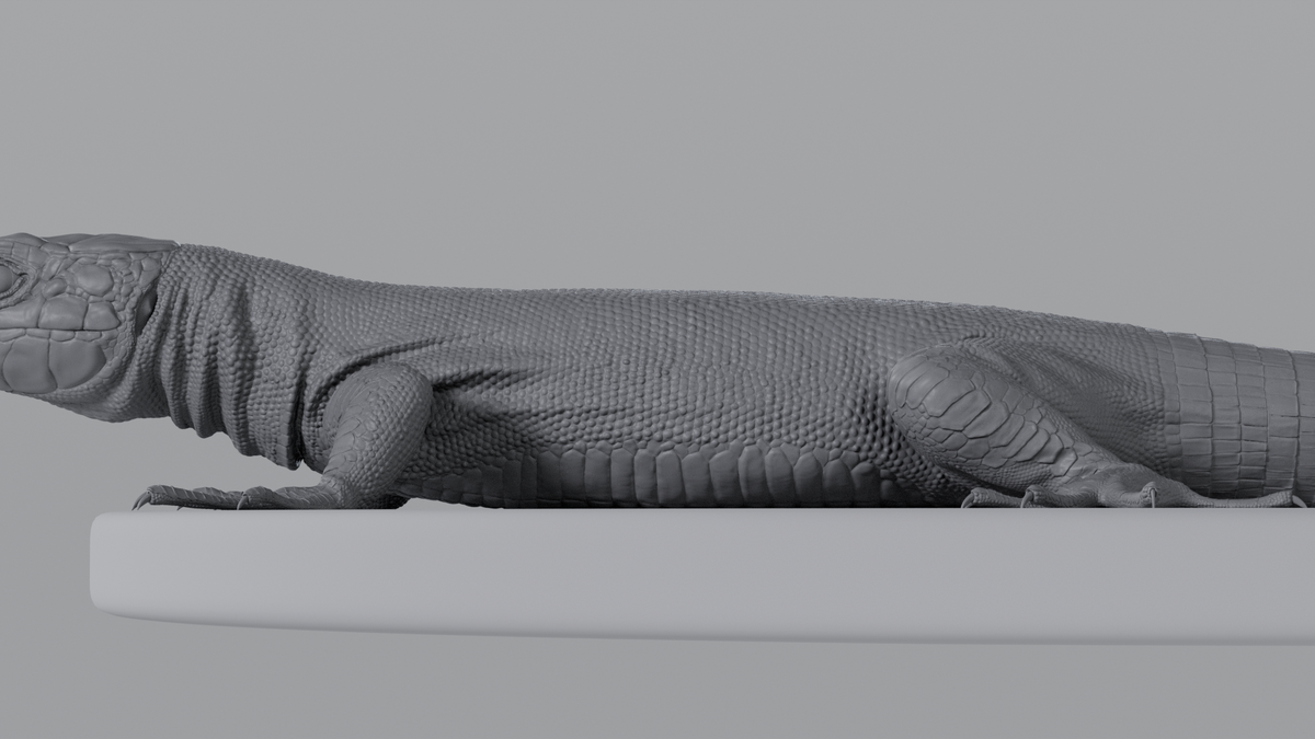 Lizard