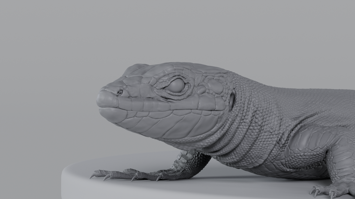 Lizard