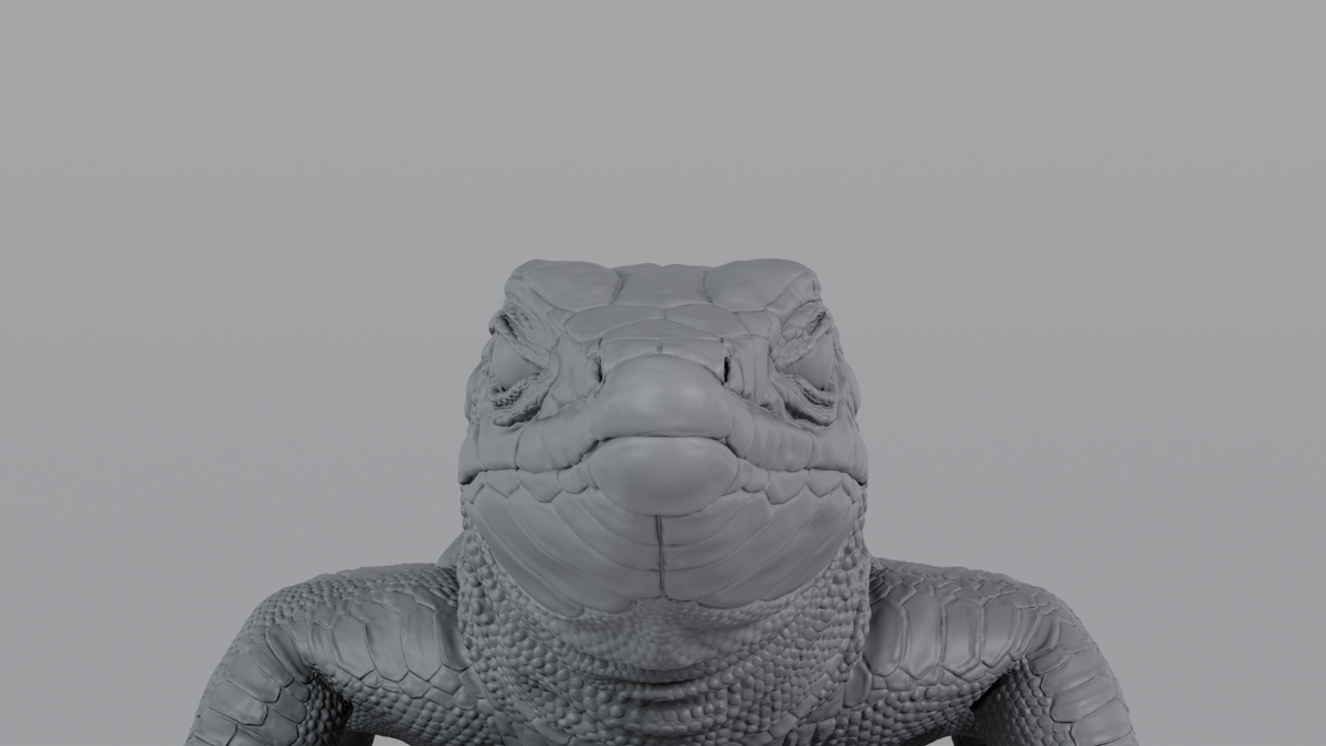Lizard