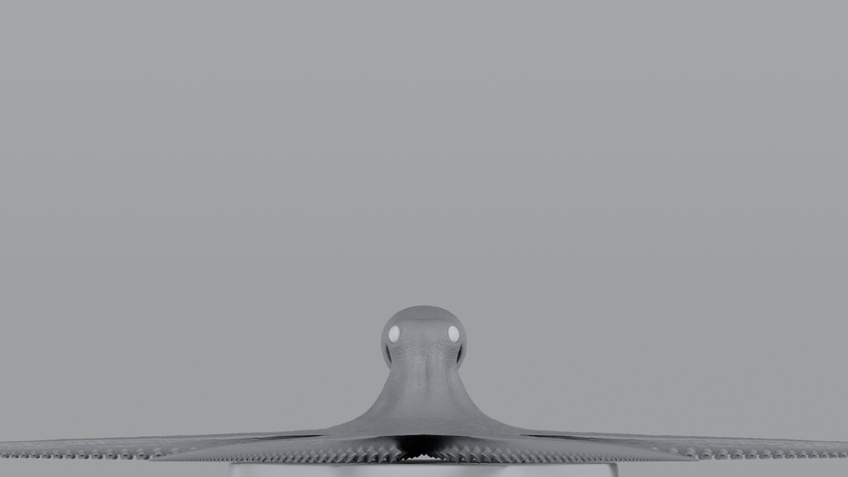 Octopus