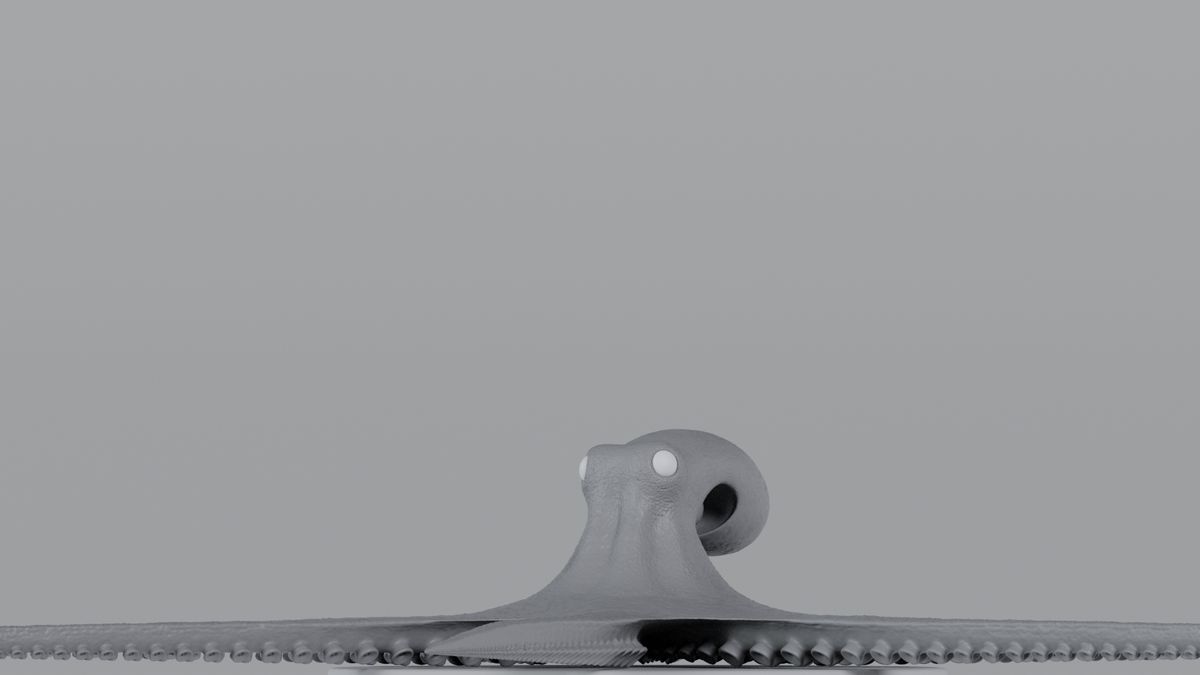 Octopus