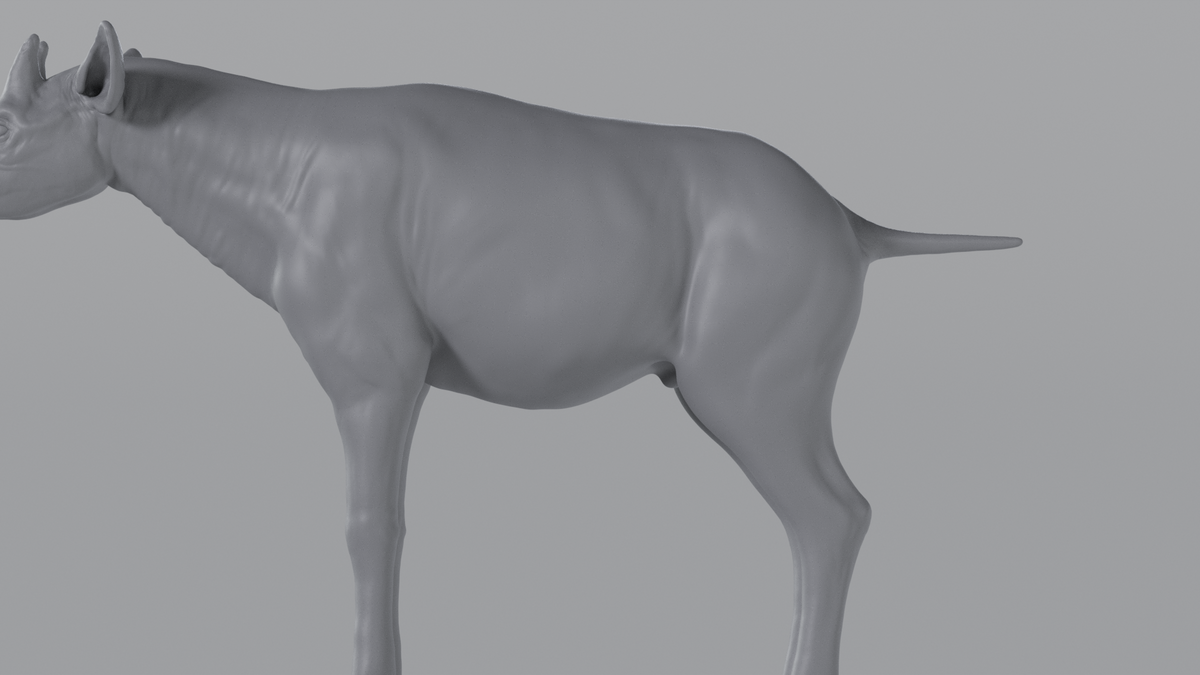 Okapi