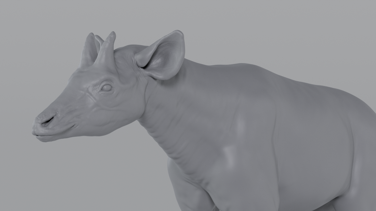 Okapi