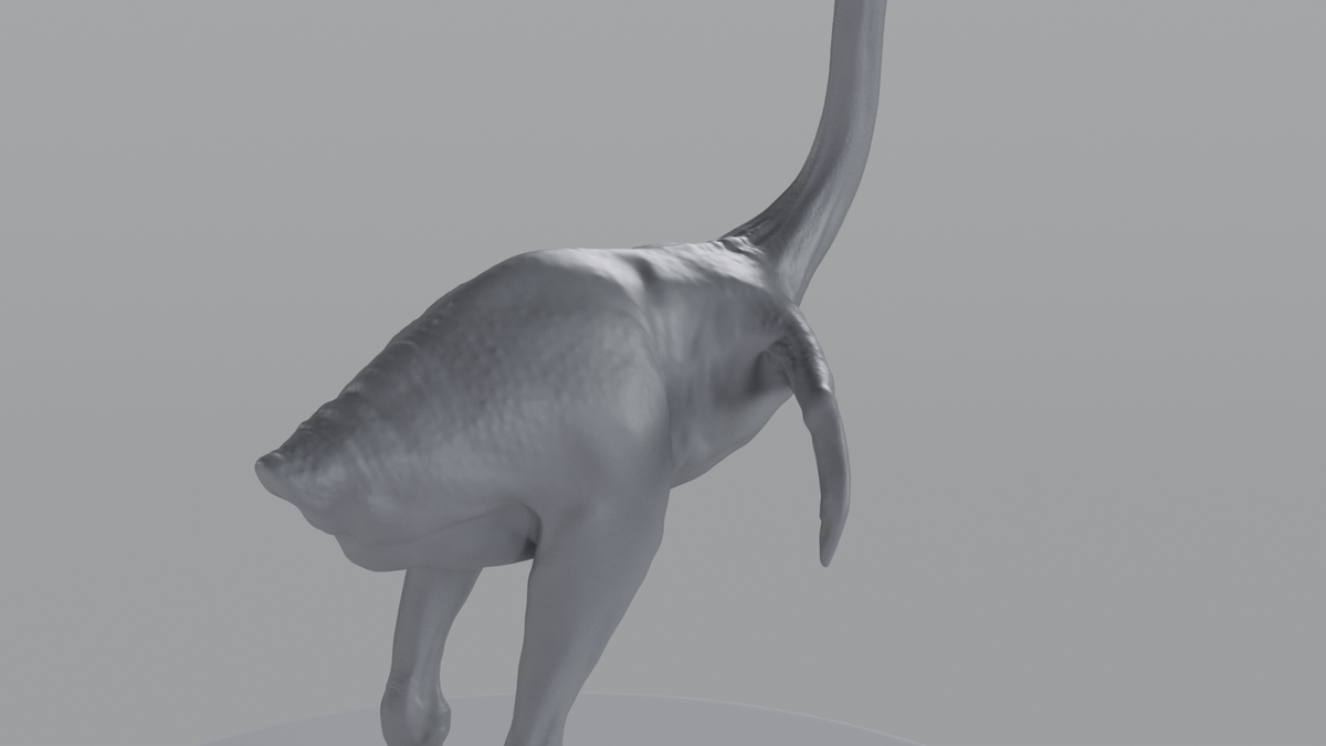 Ostrich
