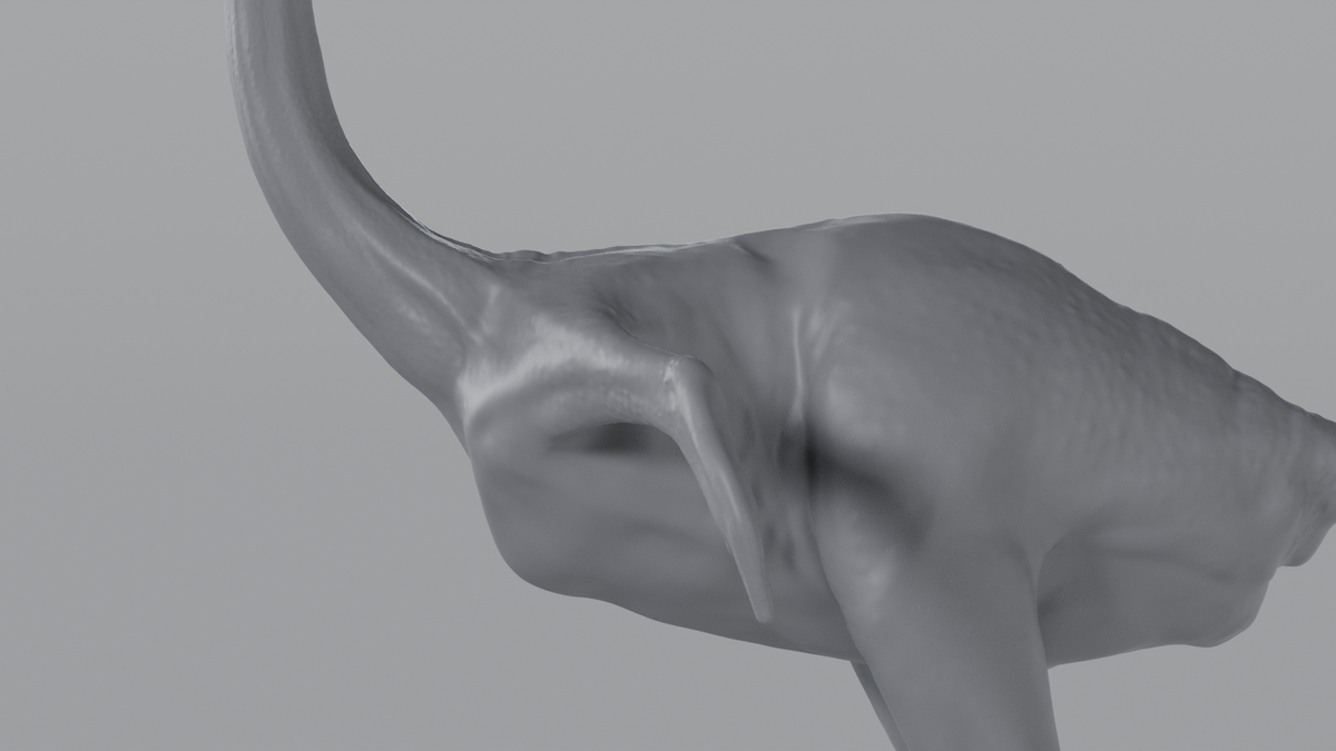 Ostrich