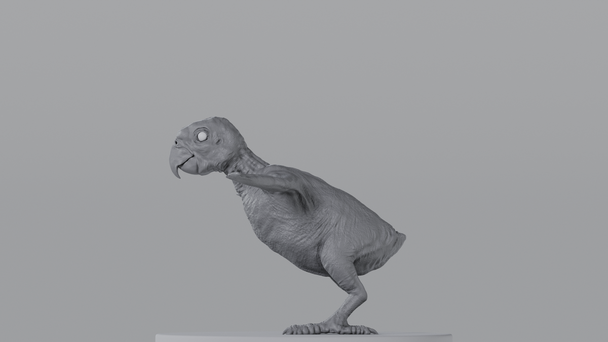 Parrot