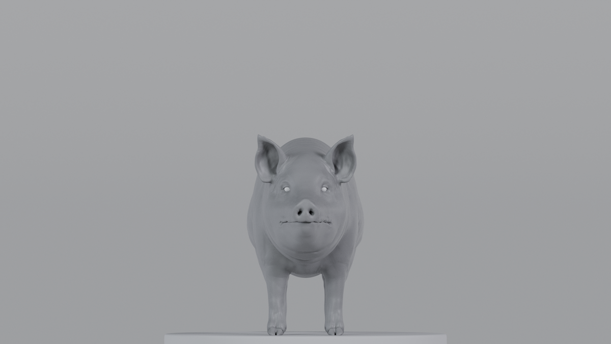 Pig