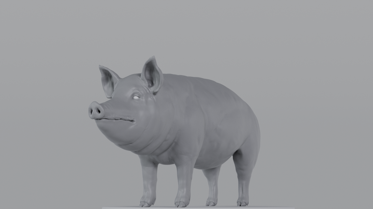 Pig