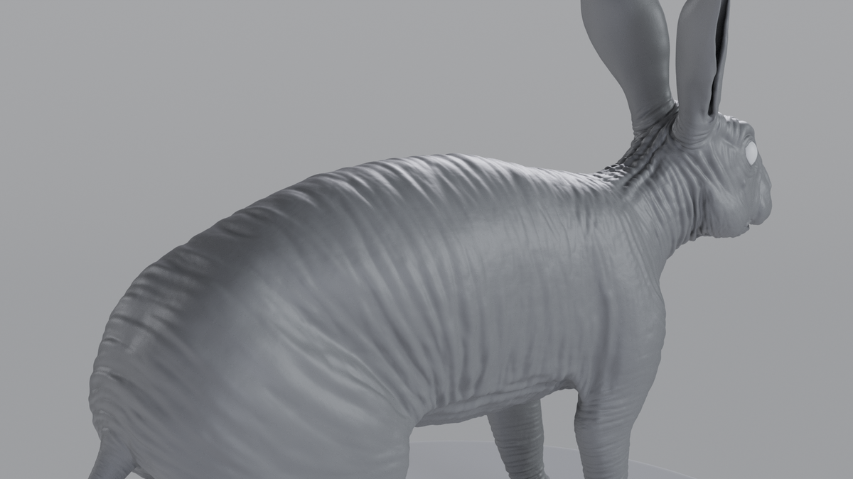 Rabbit
