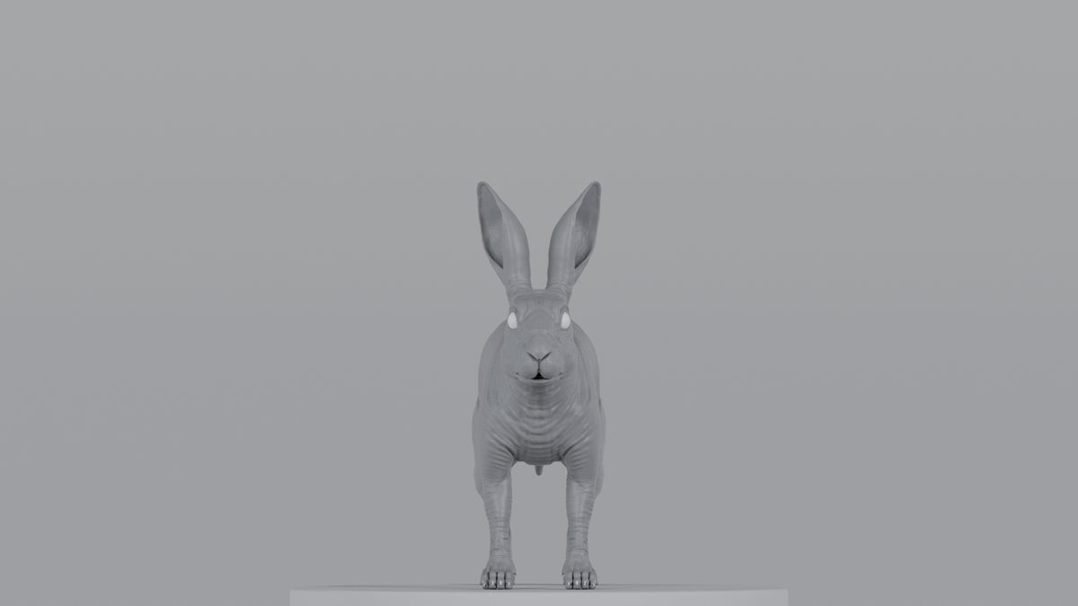 Rabbit