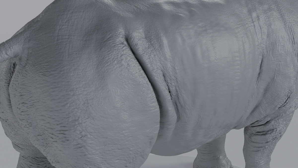 White Rhino