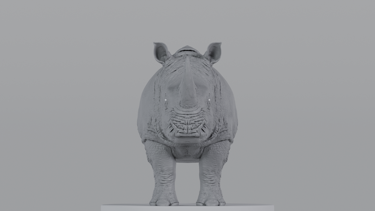 White Rhino