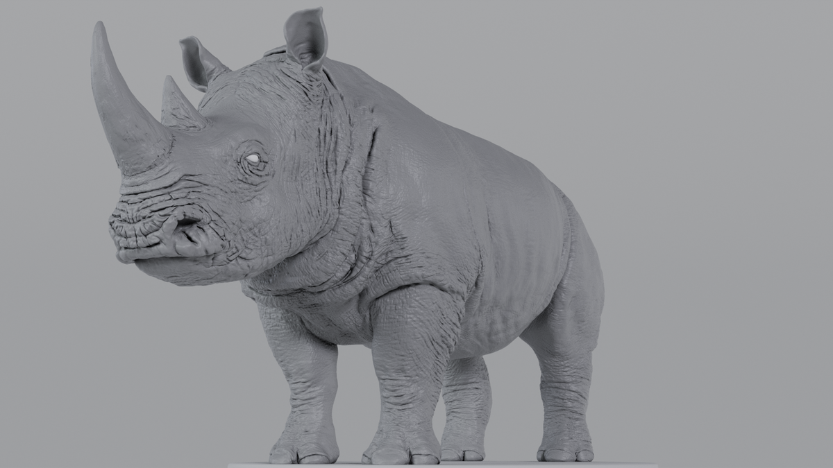 White Rhino