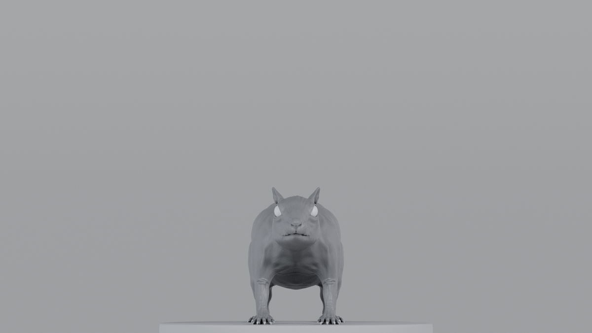 Squirrel