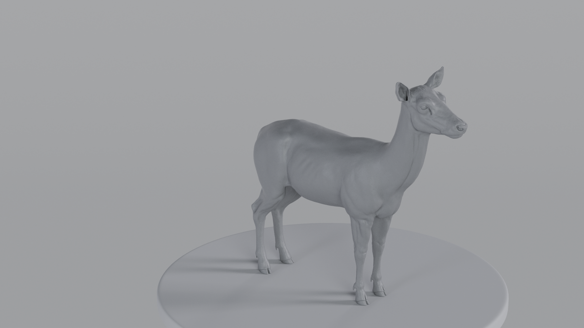 Female Deer