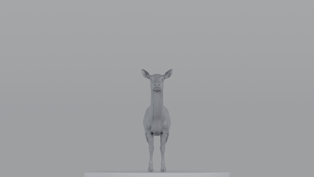 Female Deer