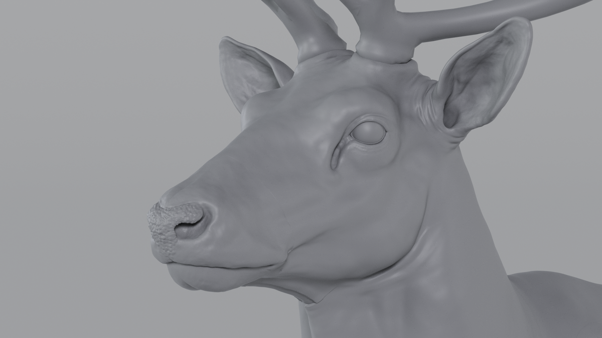 Stag