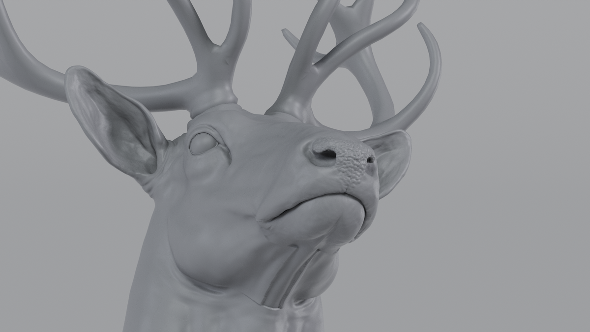 Stag