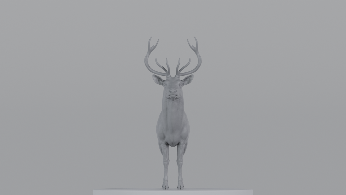 Stag