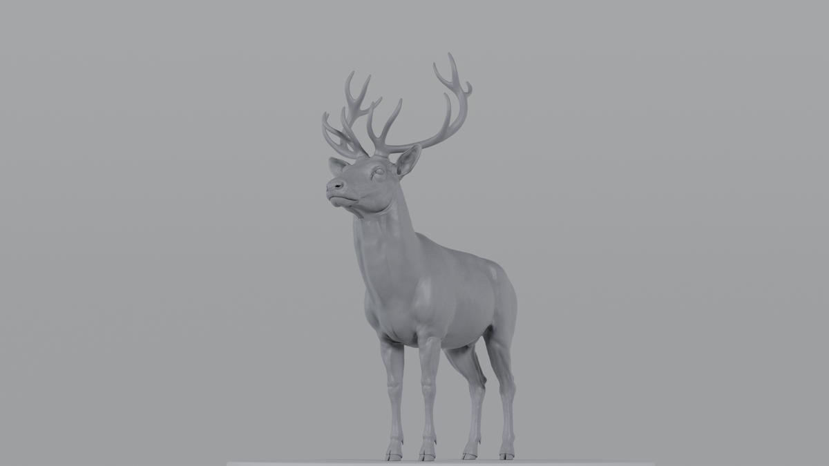 Stag