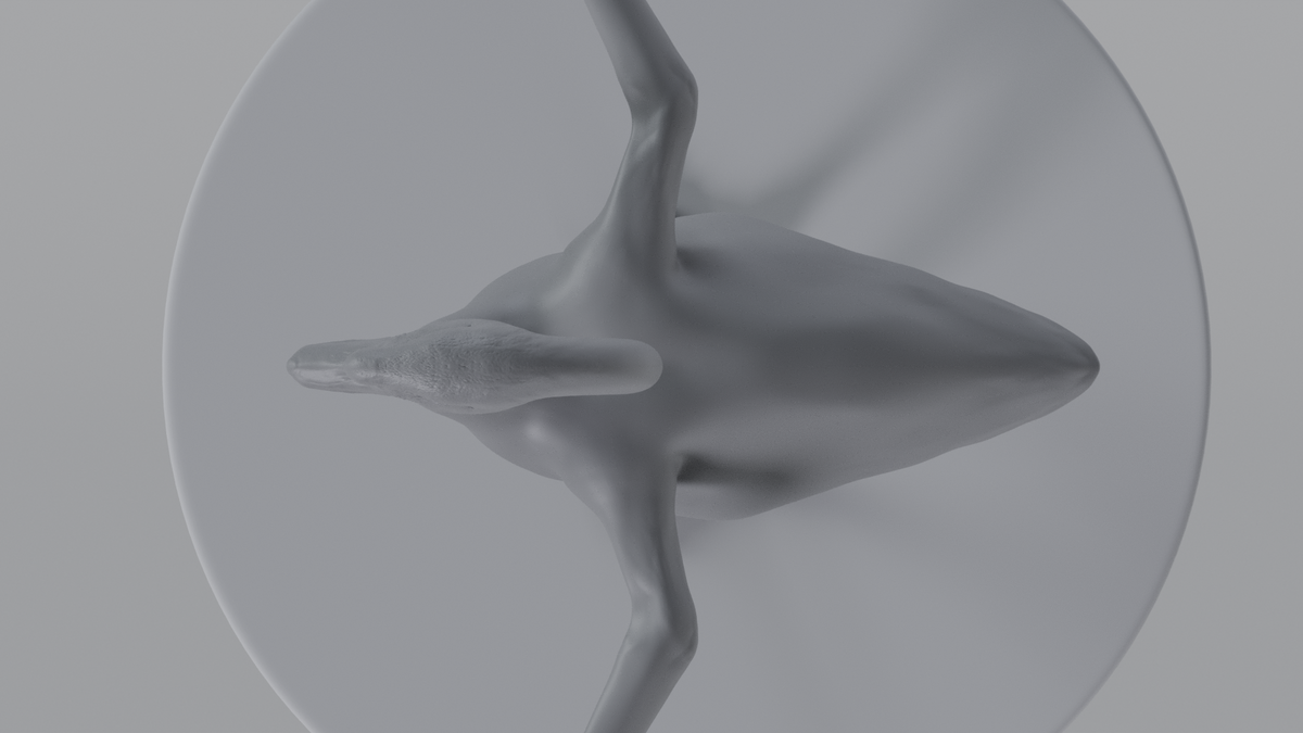 Swan