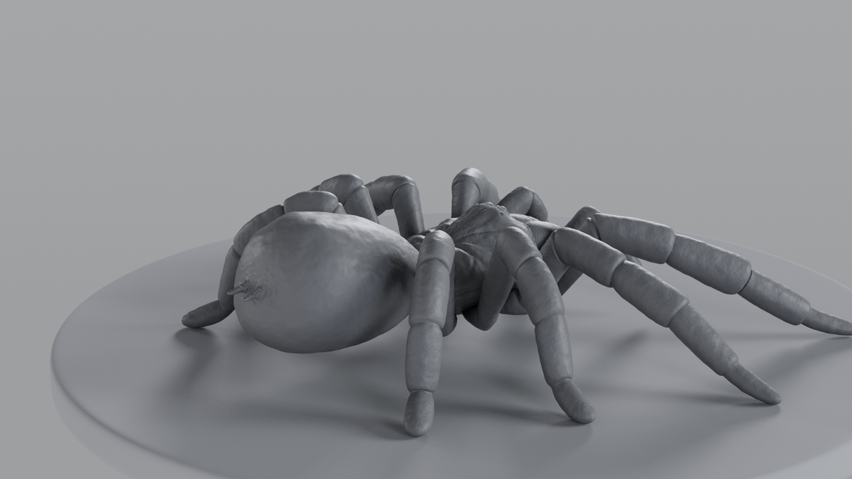 Tarantula