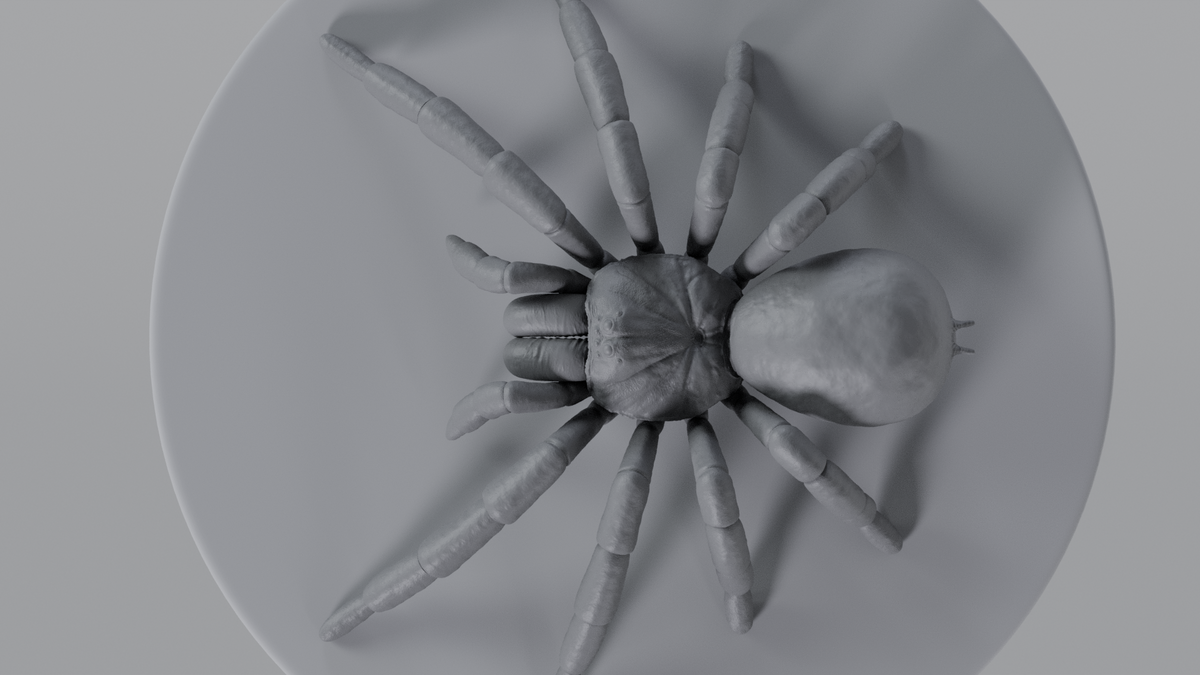 Tarantula